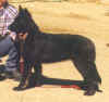 Sidra Epix at 7 months